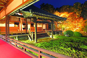 隨心院 紅葉 ライトアップ