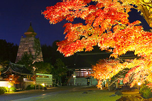 妙満寺 紅葉 ライトアップ