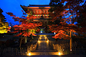 金戒光明寺 紅葉 ライトアップ