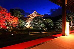 鹿王院 紅葉ライトアップ