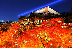 京都 紅葉 ライトアップ 清水寺