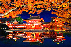 京都　紅葉　ライトアップ画像