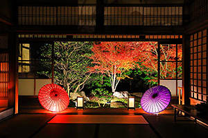 勝林寺 紅葉 ライトアップ