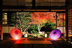 京都　紅葉　和傘　ライトアップ