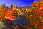 京都　紅葉　絶景　ライトアップ