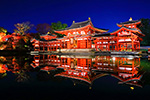 京都の紅葉ライトアップ　リフレクション　平等院鳳凰堂
