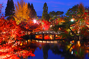 京都紅葉ライトアップ 永観堂