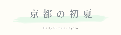 京都　初夏