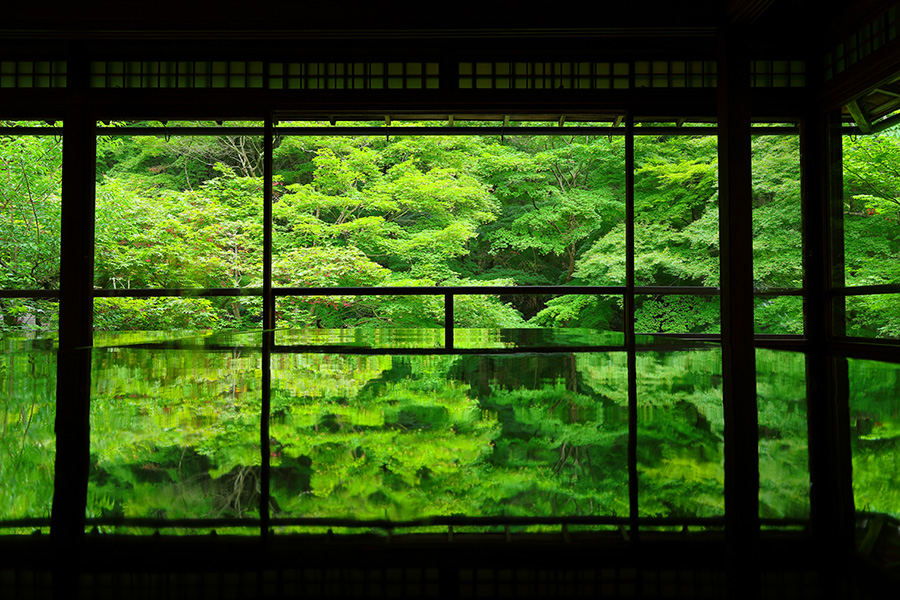 京都　初夏　写真
