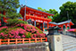 八坂神社　さつき　京都の初夏写真