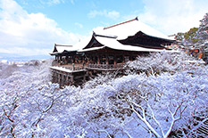 京都　雪　画像