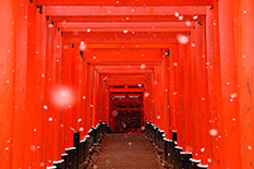 京都　雪　写真