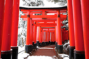京都 伏見稲荷大社 雪景色