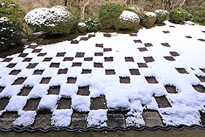 京都 東福寺 雪景色