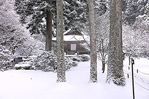 三千院 雪景色