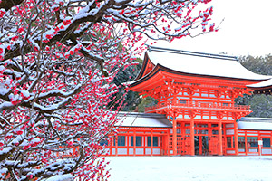 下鴨神社の雪景色