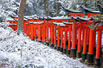 京都　積雪