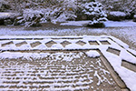 京都　雪景色　庭　模様