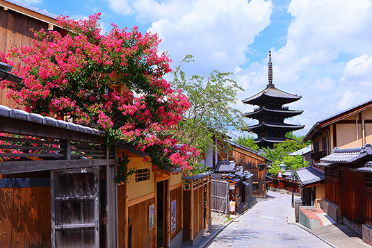 京都 夏