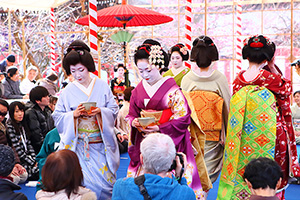 北野天満宮 梅花祭 舞妓
