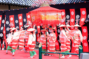 京都 山科 隨心院 はねず踊り