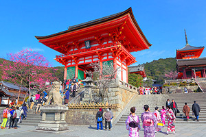 京都 清水寺 梅
