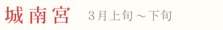 城南宮の梅 見頃 時期 3月上旬〜下旬
