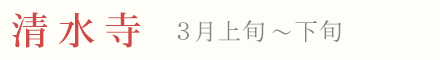 清水寺 梅 見頃 時期 3月上旬〜下旬