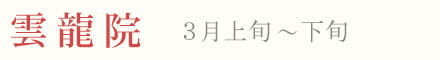 京都 雲龍院の梅 見頃 時期 3月上旬〜下旬
