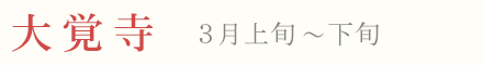 大覚寺の梅 見頃 時期 3月上旬〜下旬