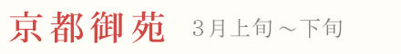 京都御苑の梅 見頃 時期 3月上旬〜下旬
