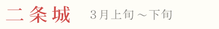 二条城の梅 見頃 時期 3月上旬〜下旬