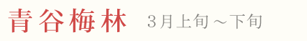 青谷梅林 見頃 時期 3月上旬〜下旬