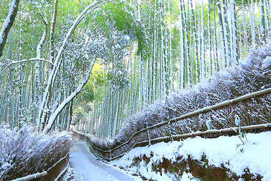 京都　冬　写真