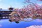 京都の冬　平安神宮　雪景色　高解像度画像