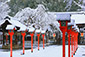京都　冬　東寺