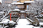 京都の冬写真　祇園白川