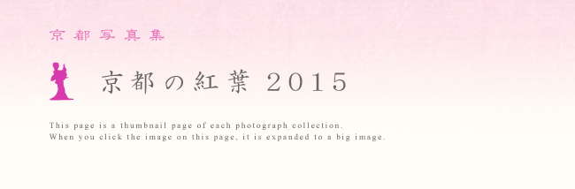 ���s�ʐ^�W �u ���s�@�g�t�@2015 �v