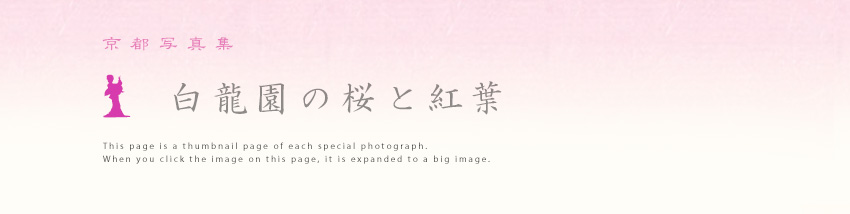 �������@�摜