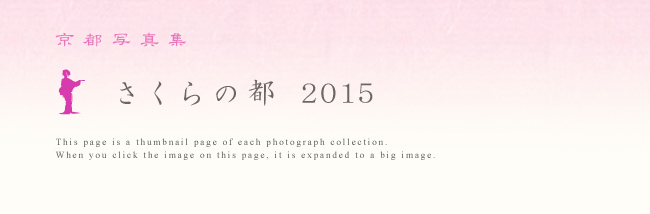 ���s���ʐ^�W �u ������̓s 2015 �v