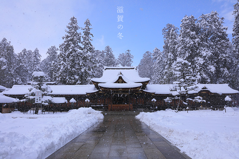 多賀大社　雪景色
