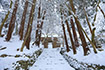 湖東三山　百済寺　雪景色