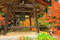 長寿寺の秋