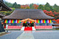 滋賀　永源寺の紅葉写真