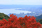 比叡山ドライブウェイ　紅葉　画像