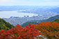 琵琶湖　紅葉