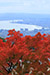 比叡山ドライブウェイ　琵琶湖　展望台　紅葉