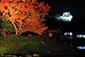 彦根城　玄宮園　紅葉　ライトアップ