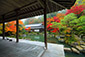 百済寺の紅葉　高画質画像