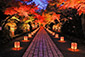 石山寺の紅葉ライトアップ
